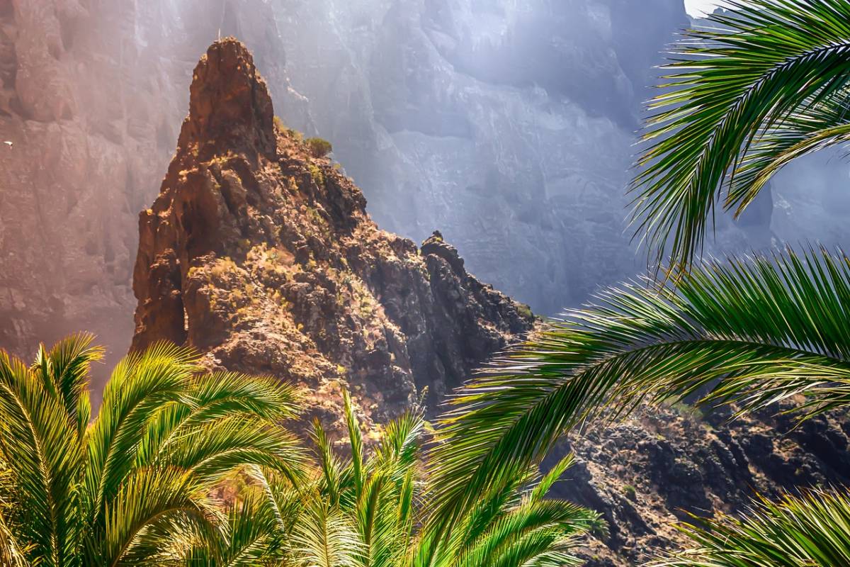 TIP! Kanárské ostrovy - několik verzí levné letenky na Tenerife (zpáteční) odlety také z Česka od 1.894,- kč
