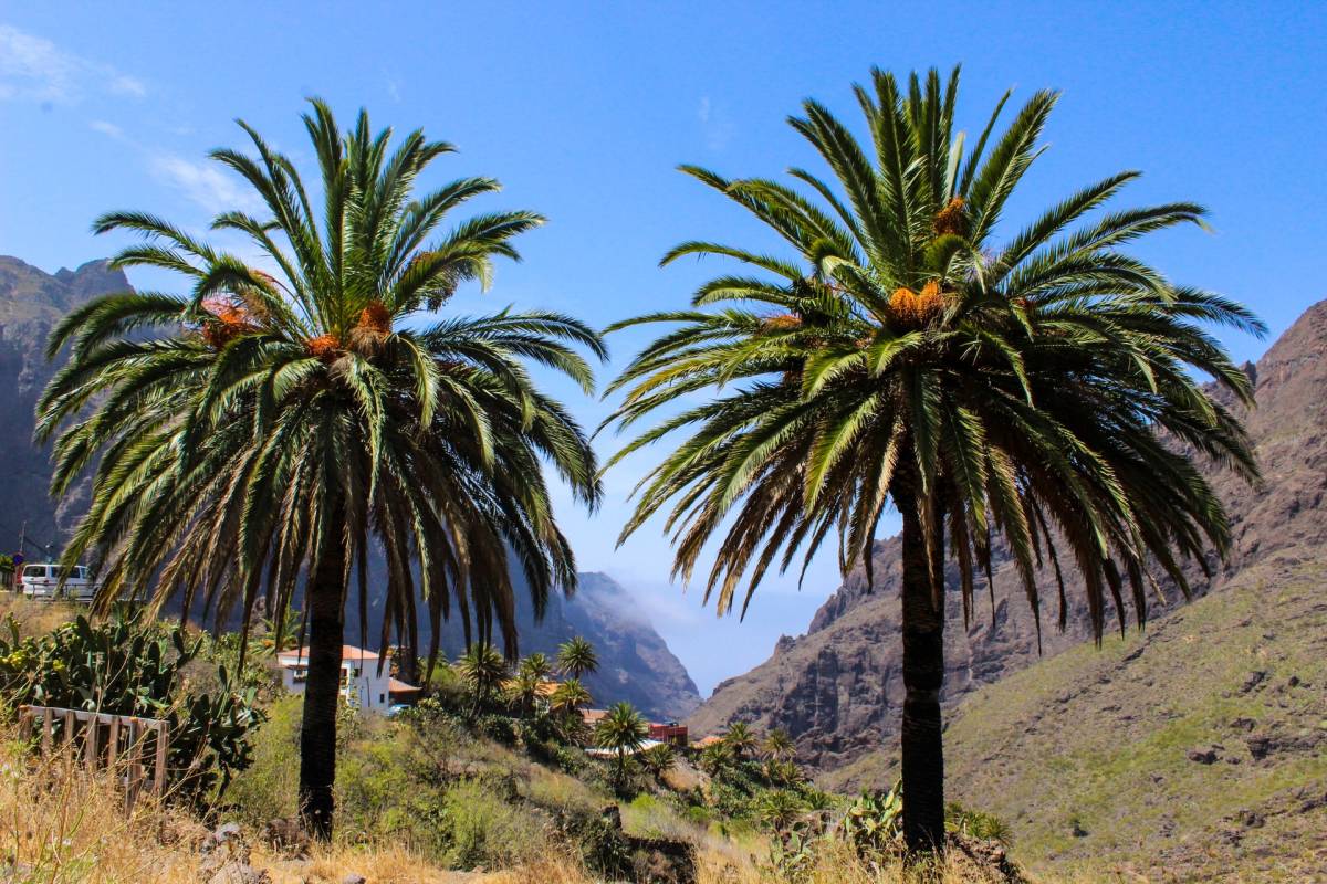 TIP! Kanárské ostrovy - levné letenky Tenerife - aktuální přehled již od 3.076,- kč