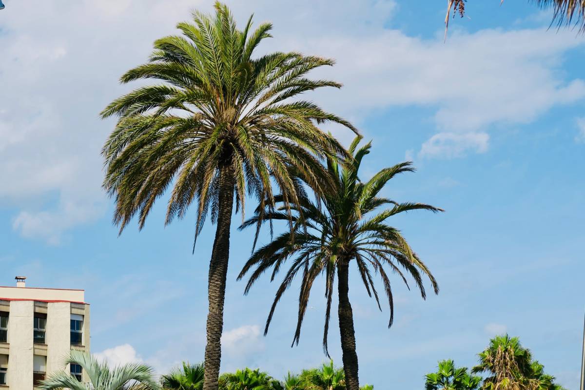 TIP! Španělsko - Katalánsko - levné letenky Barcelona z Vídně, Krakova a Prahy (zpáteční) od 435,- Kč
