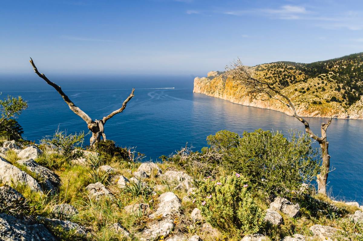 Doporučujeme! Austrian Airlines - Španělsko - Mallorca nejen na hlavní letní sezónu - levné letenky Palma de Mallorca z Vídně (tam a zpět) 1.690,- Kč
