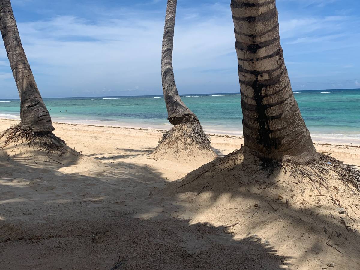Doporučujeme! Air Europa - Karibik - Dominikánská republika - levné letenky Punta Cana z Mnichova (tam a zpět) 11.690,- kč