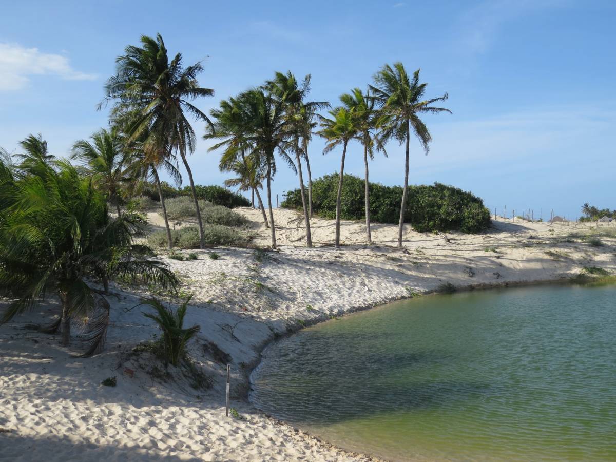 HIT! 🇧🇷 TAP Portugal - Brazílie - levné letenky Fortaleza z Vídně ↔ 13.790,- Kč