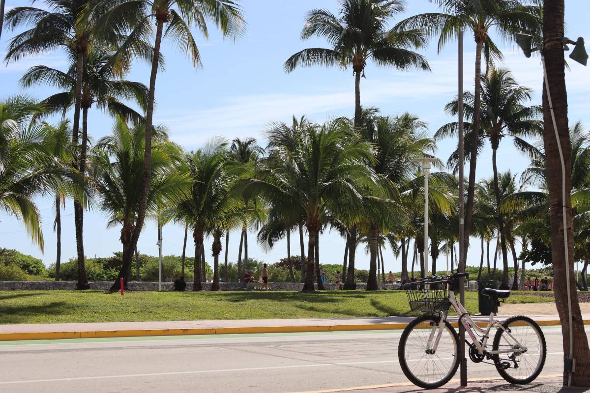 Condor ✈ Spojené státy - Florida - Tip na rezervaci zpáteční akční letenky do Miami z Prahy 9 390 Kč