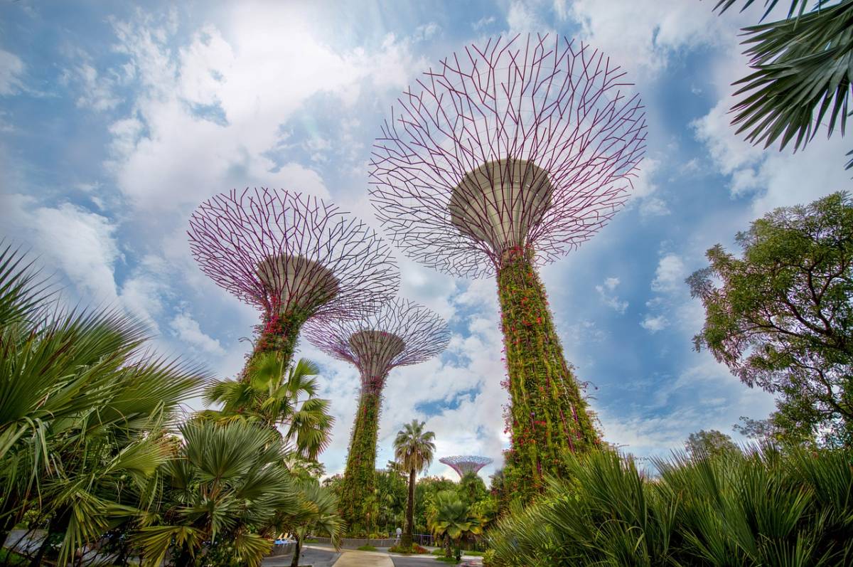 8 tipů na rezervaci obousměrné levné letenky do Singapuru z Vídně a Prahy od 12 990 Kč
