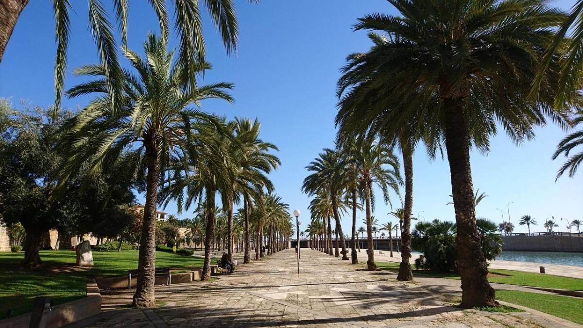 Smartwings ✈ Baleáry - Mallorca - Tip na rezervaci zpáteční akční letenky do Palma de Mallorca z Prahy 2 790 Kč