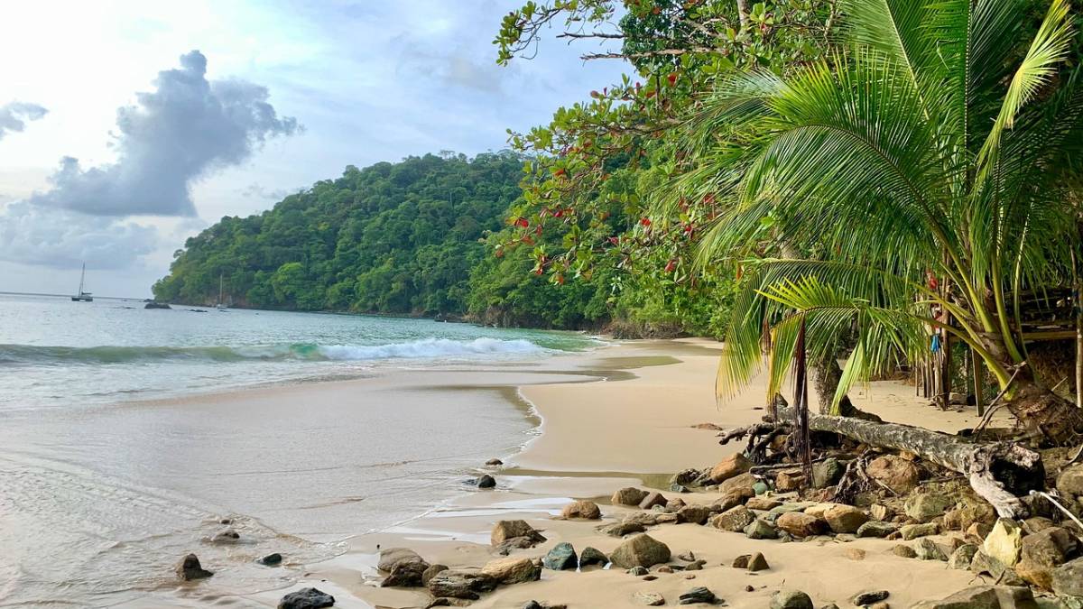 Condor ✈ Trinidad & Tobago - Tip na rezervaci obousměrné akční letenky na ostrov Tobago z Vídně 11 990 Kč