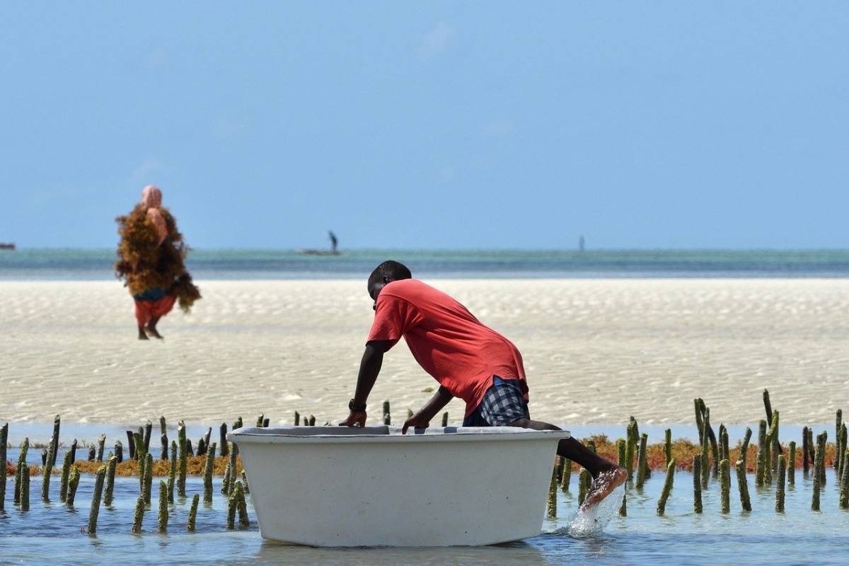 Swiss ✈ Tanzánie - Tip na rezervaci obousměrné akční letenky na Zanzibar z Vídně 15 290 Kč