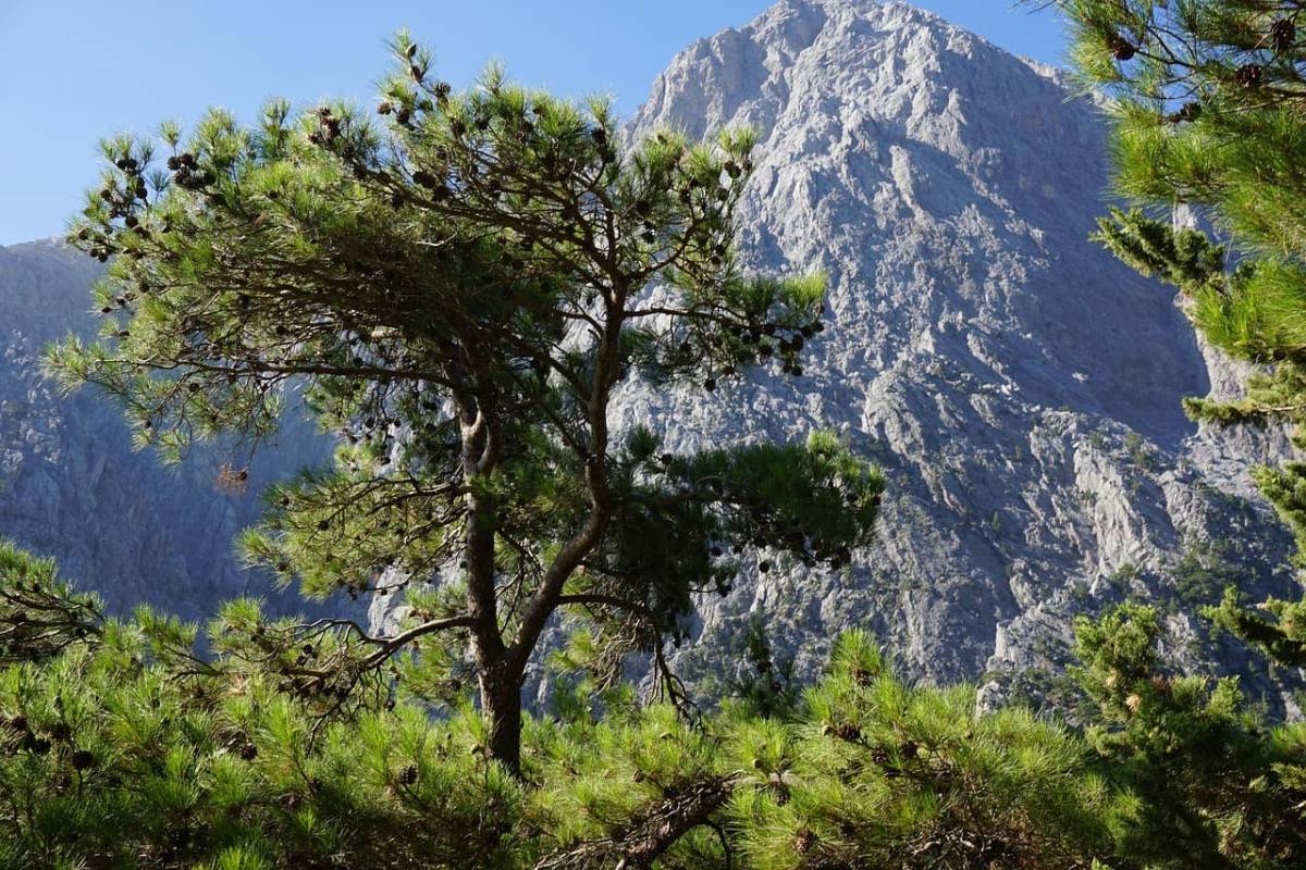 Ryanair ✈ Řecko - Kréta - Tip na rezervaci zpáteční akční letenky do Chania z Vídně od 2 041 Kč