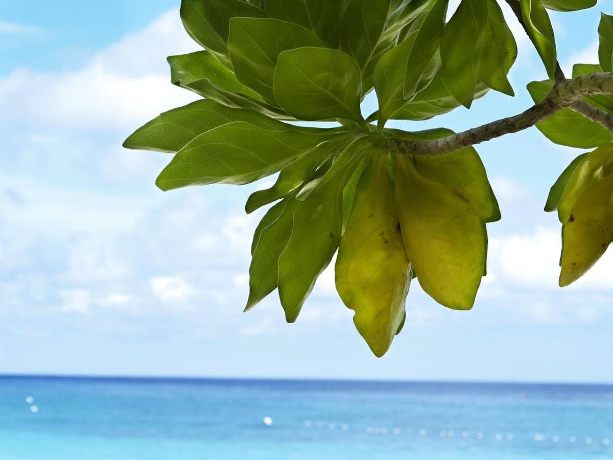 China Eastern Airlines ✈ Thajsko - Tip na rezervaci zpáteční akční letenky na Phuket z Budapešti 12 990 Kč