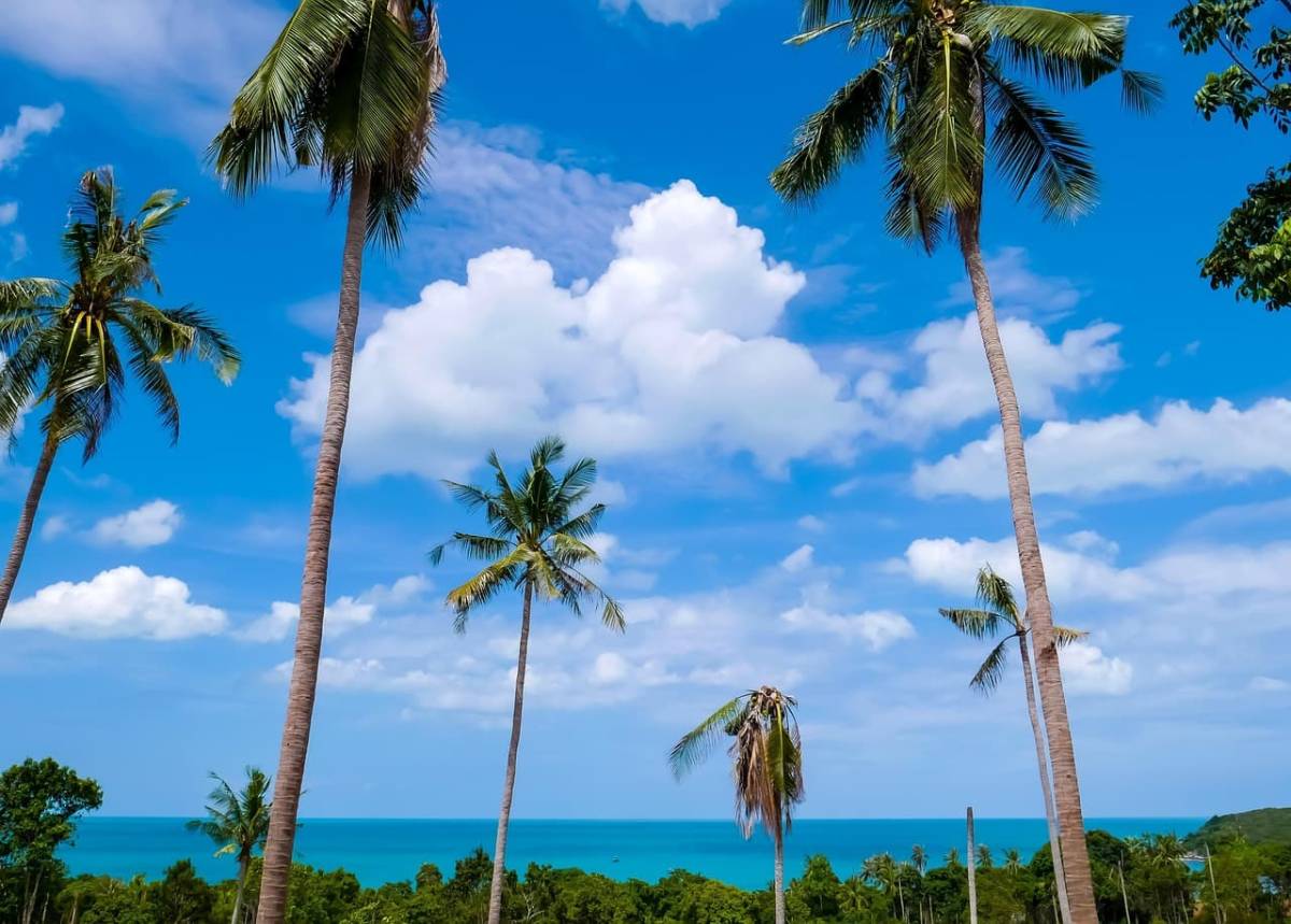 Scoot ✈ Thajsko - Tip na rezervaci obousměrné akční letenky na Koh Samui z Vídně 16 290 Kč