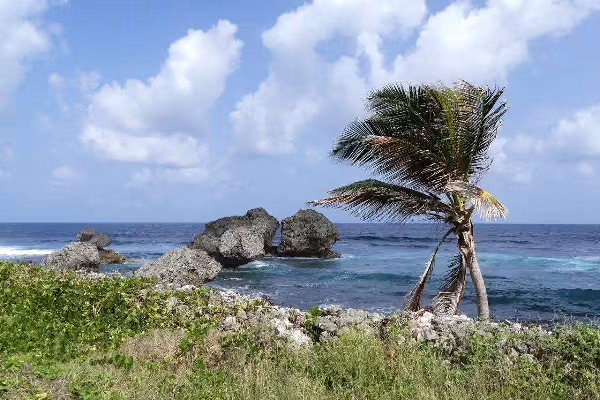 Grenada, ostrov koření v Karibiku ✈ Zpáteční akční letenky z Prahy za 14 990 Kč, American