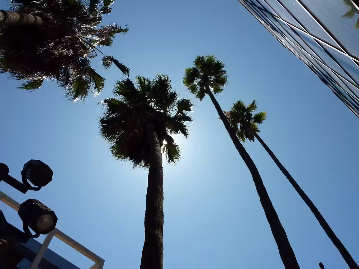 Americký Los Angeles a Hollywood ✈ Zpáteční akční letenky z Vídně za 12 990 Kč s Finnair