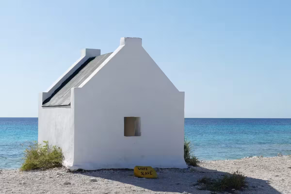 Za potápěním na karibské Bonaire ✈ Zpáteční akční letenky z Prahy za 14 990 Kč s American