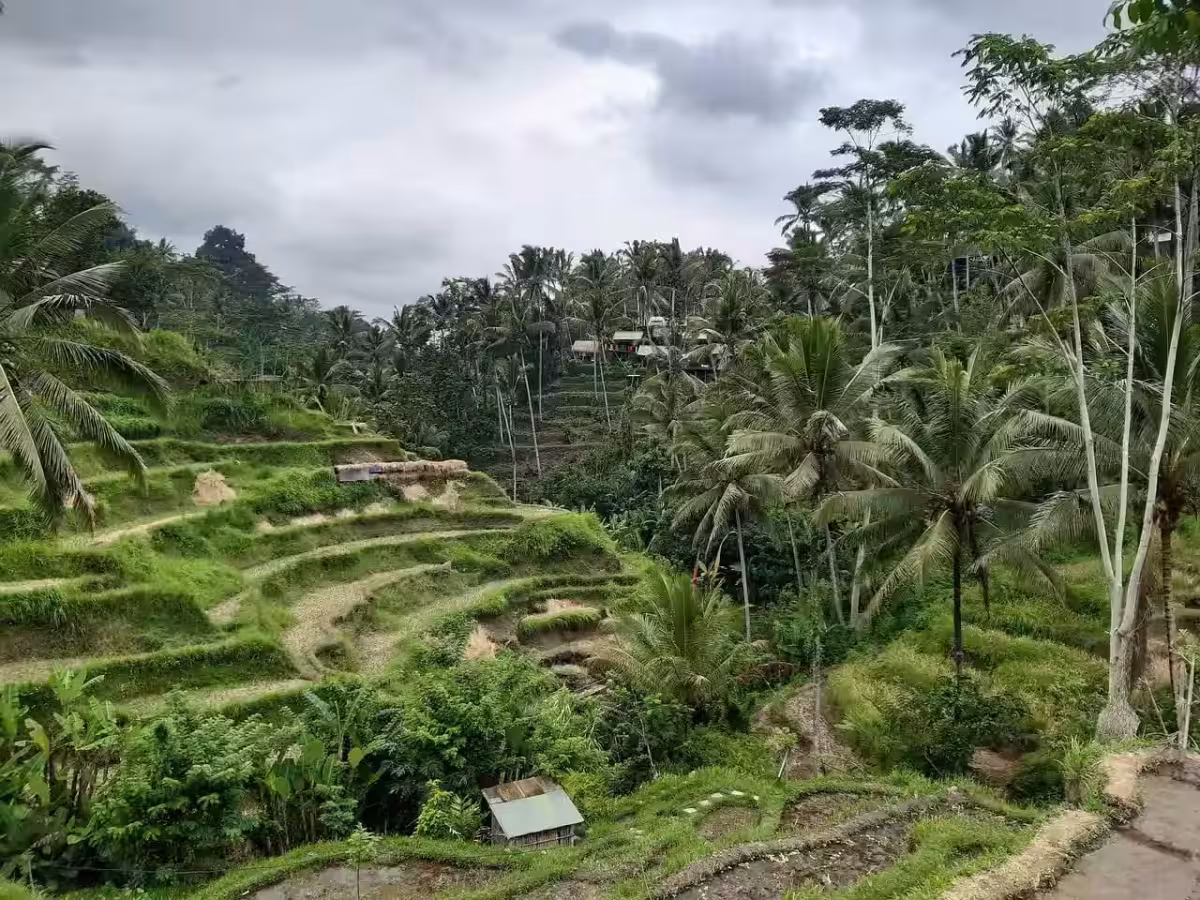 Za kouzlem ostrova bohů ✈ Zpáteční akční letenky na indonéské Bali do Denpasaru z Prahy za 17 290 Kč s Turkish