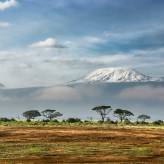 TIP! Qatar Airways - Tanzánie - levné letenky Kilimandžáro z Vídně (a zpět) na palubě 5* aerolinky 12.990,- Kč