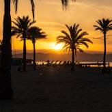 TIP! Španělsko - Baleárské ostrovy ✈ akční letenky do Palma de Mallorca z Vídně ↔ od 837 Kč